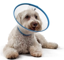mVet QuickSnap Padded E-Collar Small Dog, 10 cm (4.5" Depth)