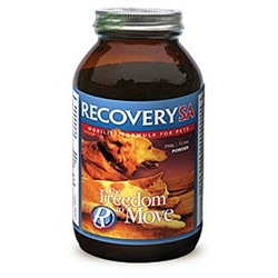 Recovery SA Freedom To Move - Powder (350 Grams)