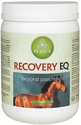 Recovery EQ Powder, 2.2 lbs (1 Kg, 40 Days)