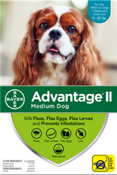 Advantage II For Medium Dogs 11-20 lbs, 12 Pack
