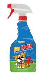 Go Here For Dogs & Puppies, 22 oz