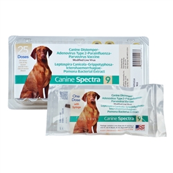 Canine Spectra 9 DA2LPP Single Dose Vaccine