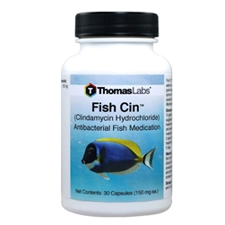 Fish Cin (Clindamycin) 150mg, 30 Capsules
