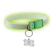 FurEver Brite Safety Collar For Dogs, Small/Medium